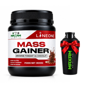 Mass Gainer (500g)